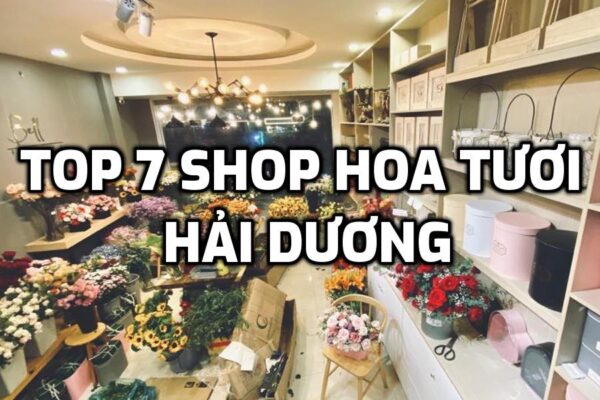 Review TOP 7 Shop Hoa Tươi ở Hải Dương