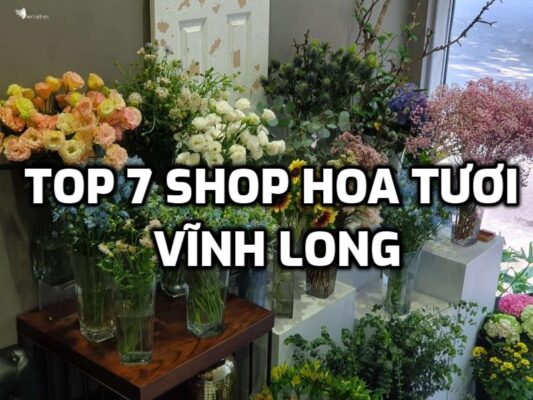 TOP 7 Shop Hoa Tươi ở Vĩnh Long
