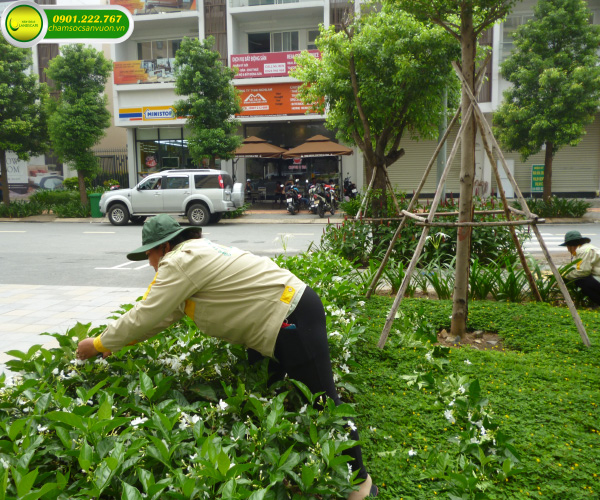 bảo dưỡng cảnh quan