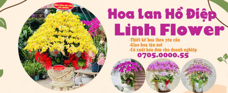 Shop hoa lan hồ điệp đường Hùng Vương, Gia Nghĩa