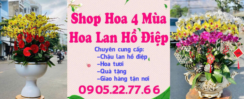 Shop hoa sáp Ninh Bình