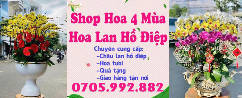 TOP 7 Shop Hoa Lan Hồ Điệp Hưng Yên